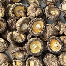 香菇干货 冬菇大香菇 新货特产菌类新鲜直供 西峡厚肉香菇 50g