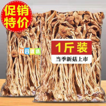 食怀24年新鲜农家茶树菇干货500g不开伞茶薪菇香菇蘑菇特产菌类 500g 24精选茶树菇【精选装】