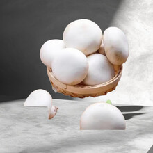 新鲜口蘑白蘑菇双孢菇蘑菇原生态食用菌菇火锅烧烤煲汤蔬菜 新鲜口蘑 500g