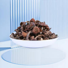 东北特产野生榛蘑丁干货特产小鸡炖蘑菇长白山臻蘑非特级新货无根 精选野生榛蘑250g