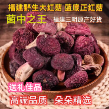 红蘑菇香菇礼盒 三明蓝底正红菇大标菇500g礼盒装
